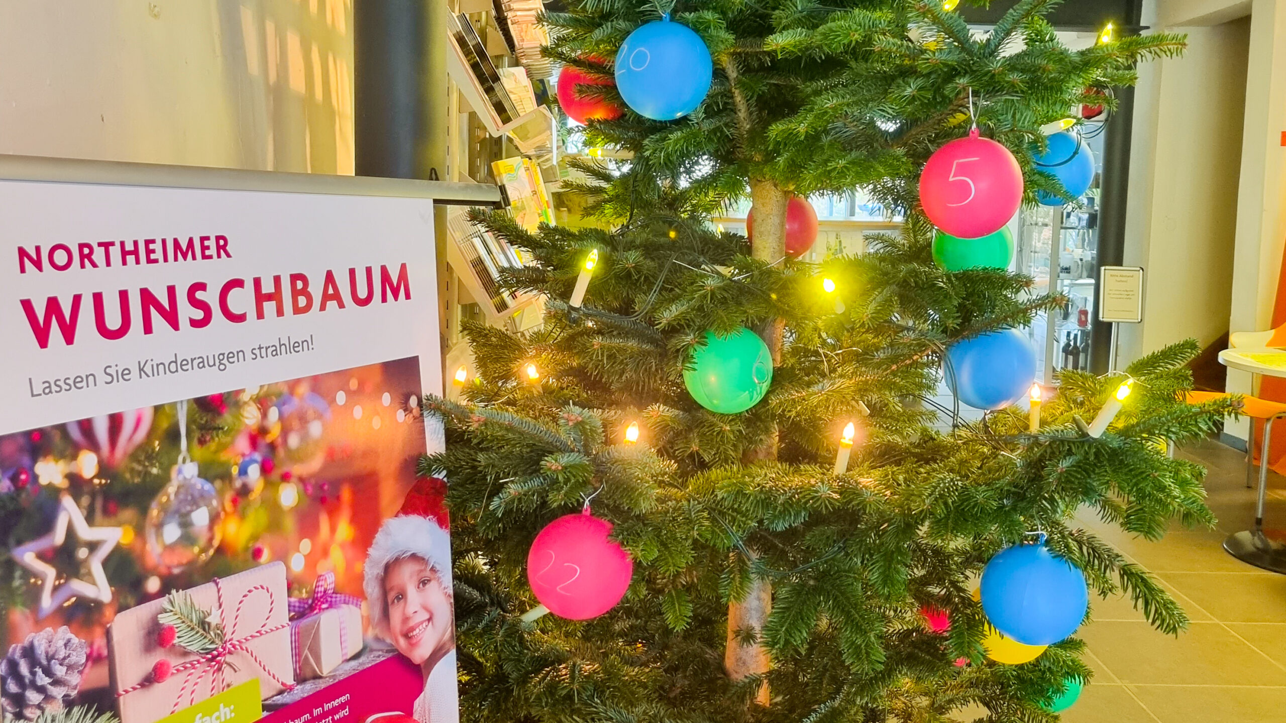 Dieser Baum trägt wieder Kinderwünsche Northeim jetzt